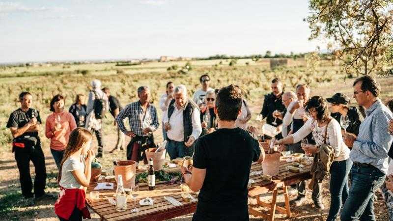 Walk & Wine a tu aire